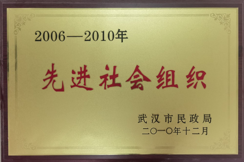 2006-2010年度市先进社会组织.jpg