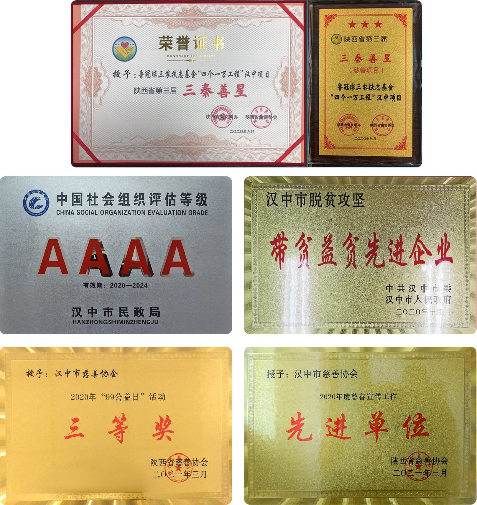2020年度获奖匾牌.jpg