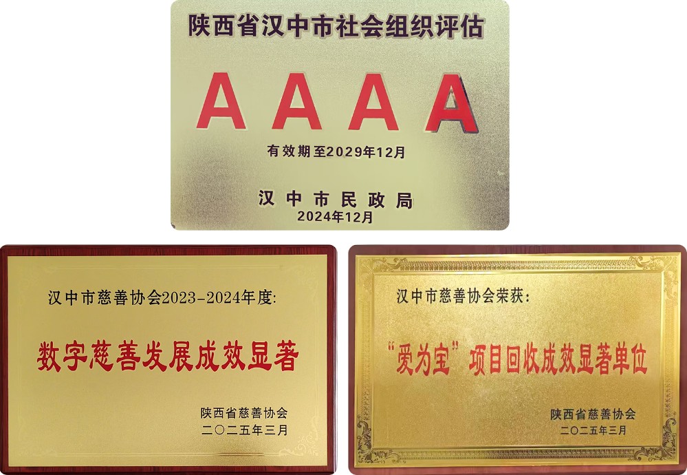 2024年度获奖荣誉okok.jpg