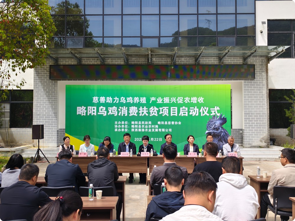 封面ok.jpg