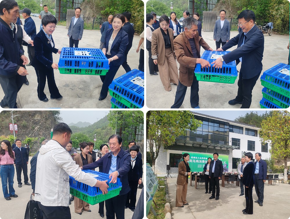 横组图4个小图.jpg