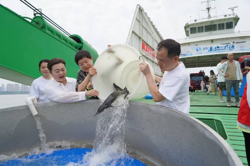 微信图片_20250606165457_副本.png