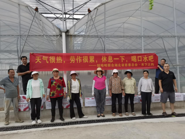 图片2_副本.png