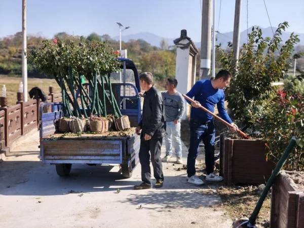 图片1_副本.png 图片1_副本.png