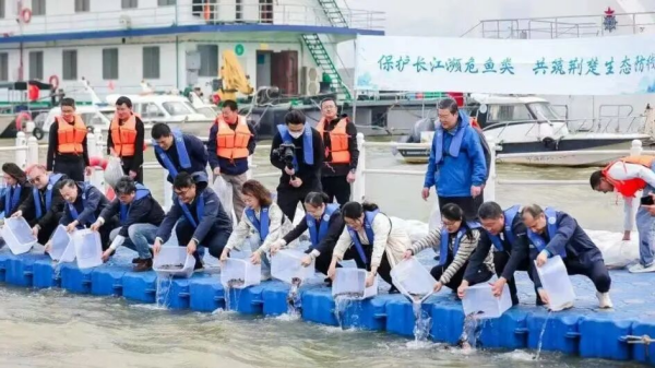 长江有鱼项目获奖报道2_副本.png