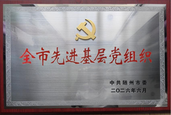 广水义工联党支部获全市先进基层党组织表彰1_副本.png