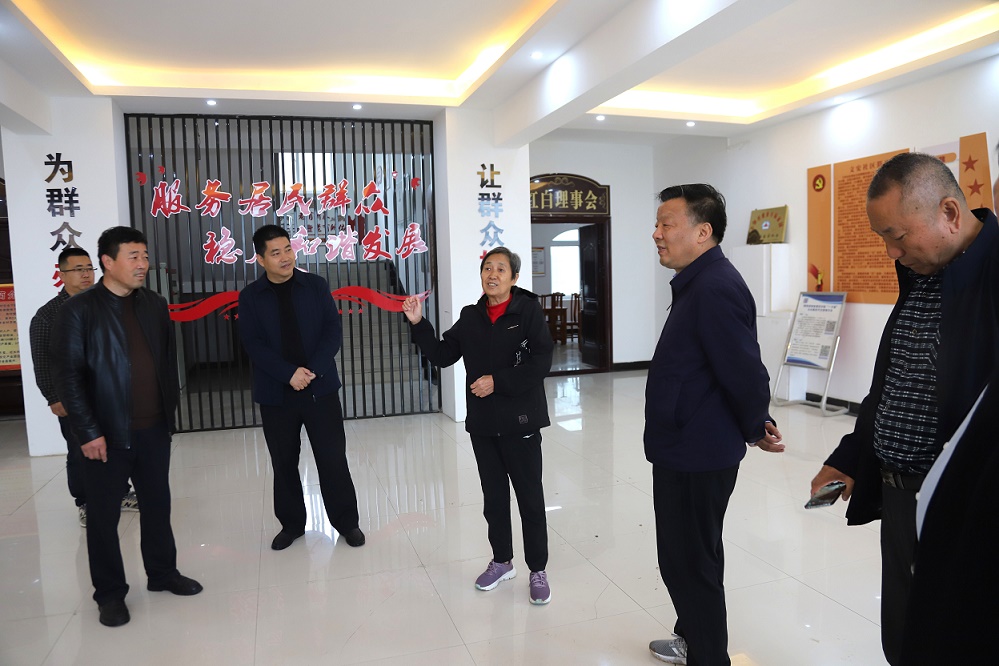 2. 在下驿村慈善幸福家园考察.JPG