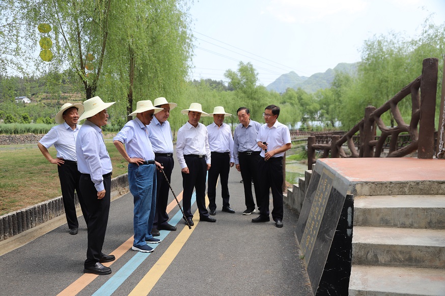 3. 徐山林一行在紫阳县蒿坪镇观摩慈安便民桥建设.JPG