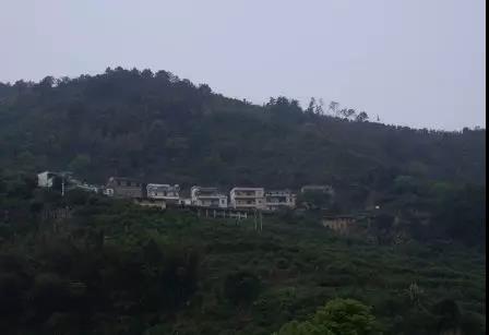 微信图片_20200309140020.jpg