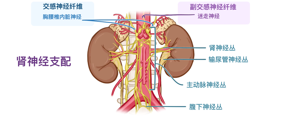 图片16.png