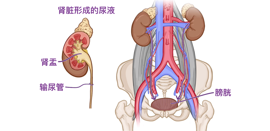 图片14.png