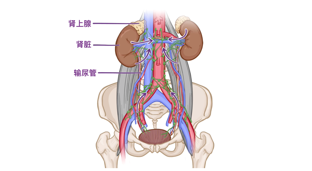 图片15.png