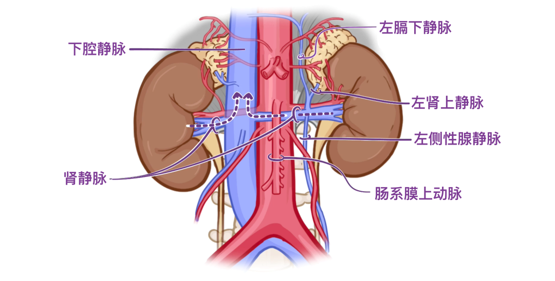 图片13.png