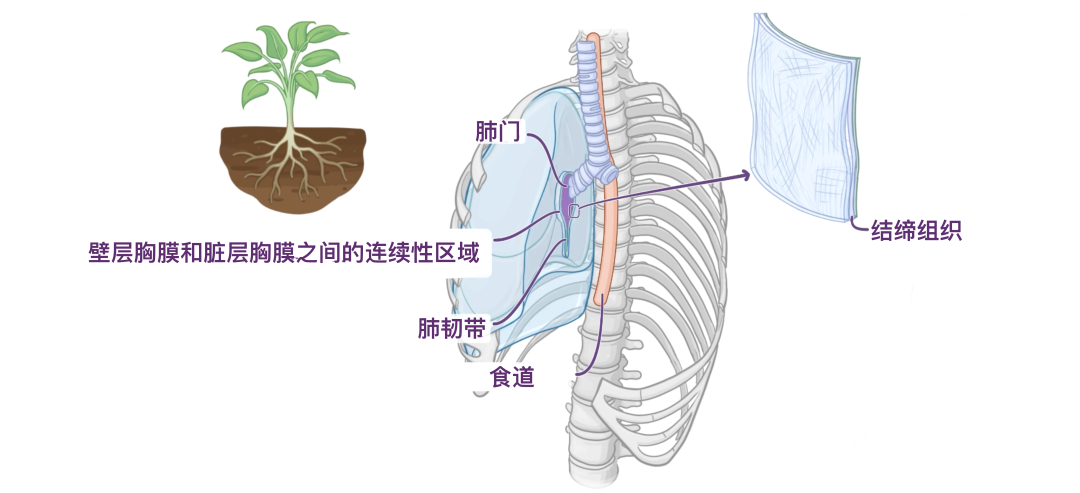 图片13.png