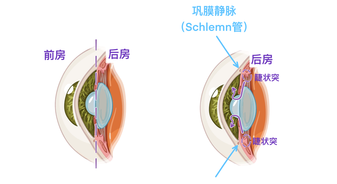 图片17.png