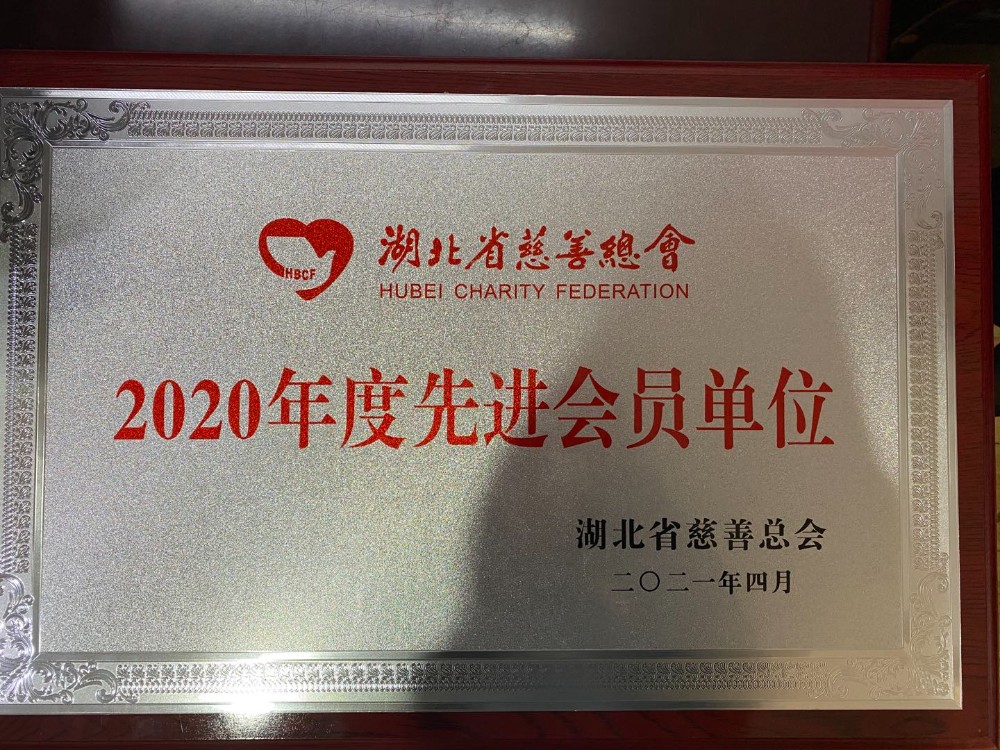 湖北省慈善总会2020年度“先进会员单位.jpg