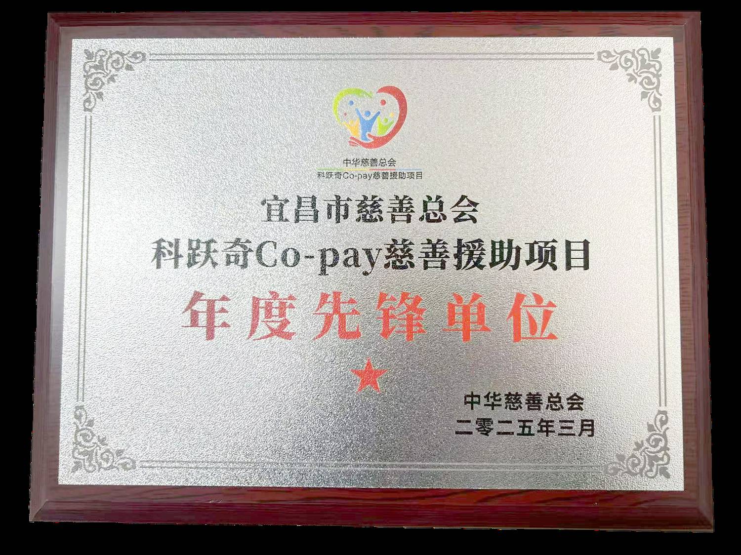 宜昌市慈善总会科跃奇Co-pay慈善援助项目年度先锋单位.png