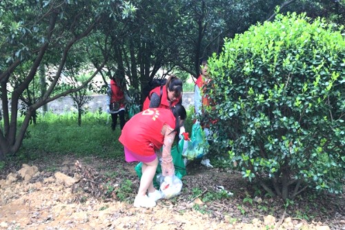 九峰山社区：组织党员志愿者开展清洁家园活动 修改.jpg