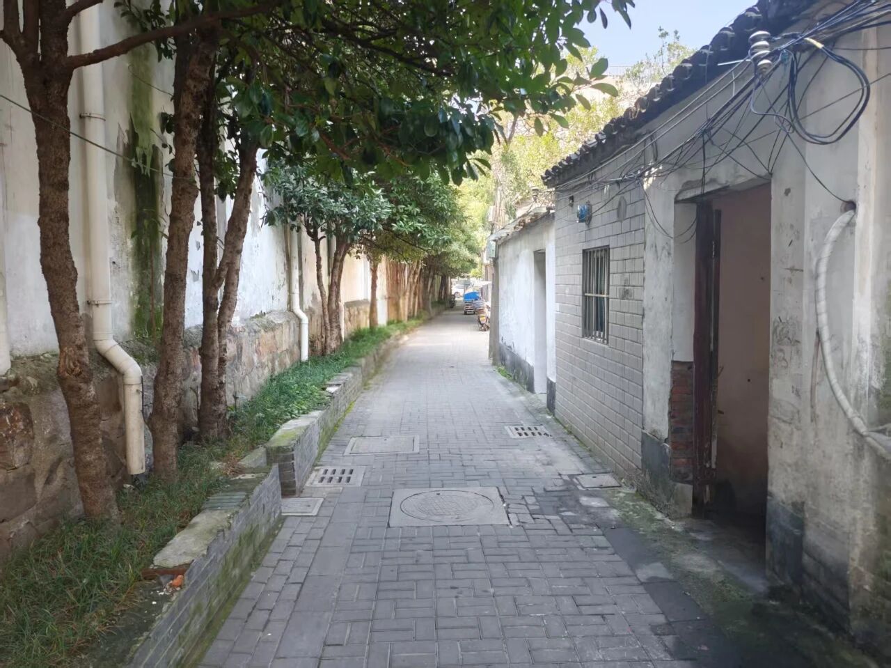 S3.jpg