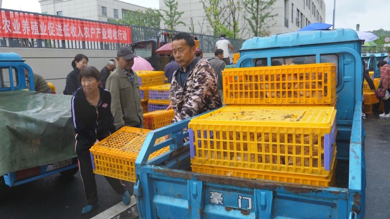 微信图片_20250516135103.jpg