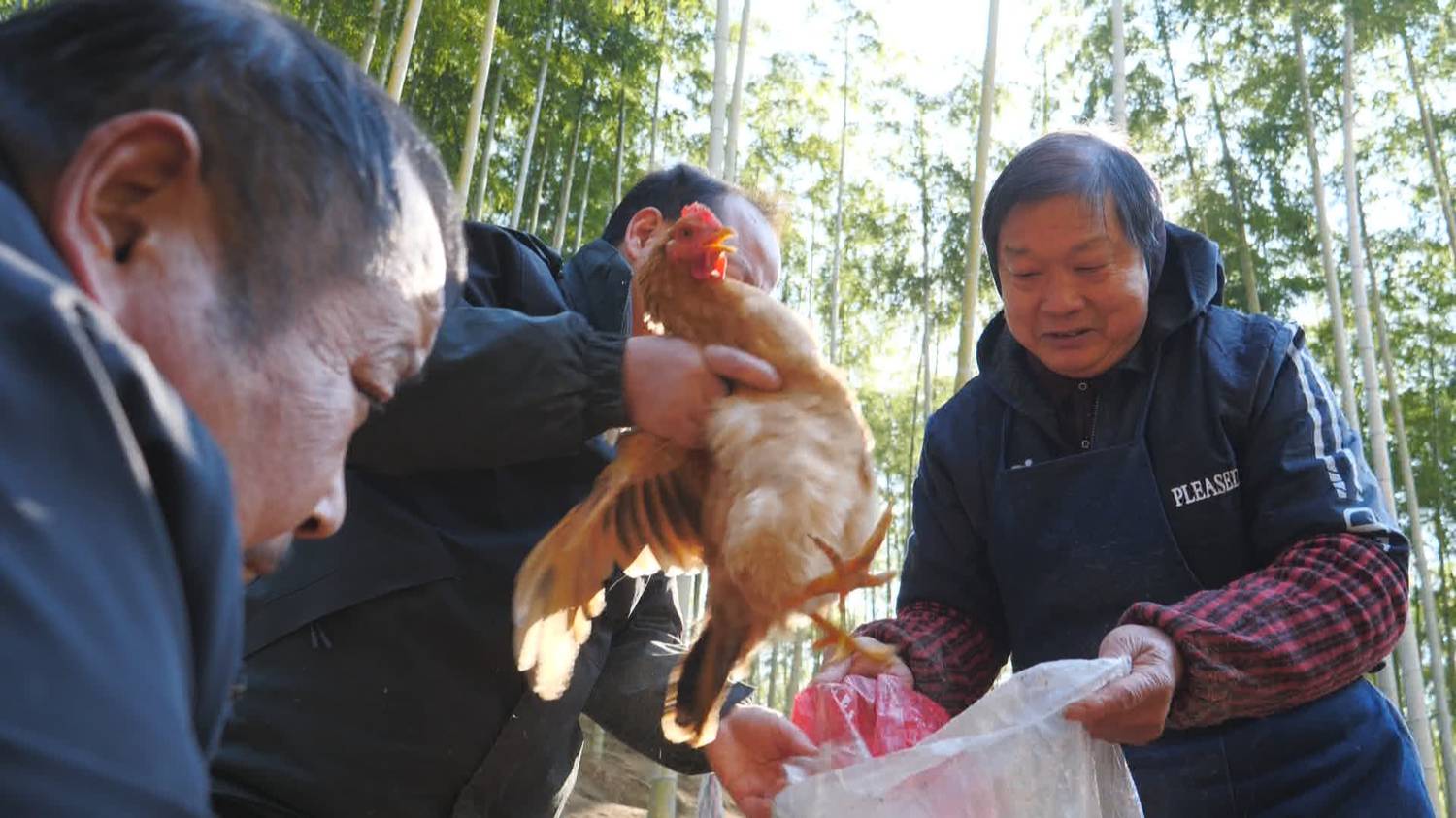 微信图片_20260112151052_13_562.jpg 微信图片_20260112151052_13_562.jpg