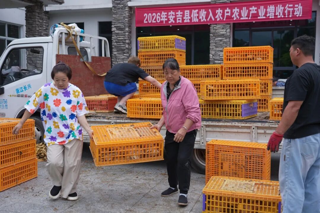 微信图片_2026-07-09_104112_109.jpg