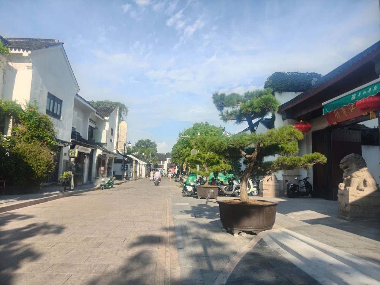 菉葭巷：药香书声，蕴三百年善行暖意.jpg