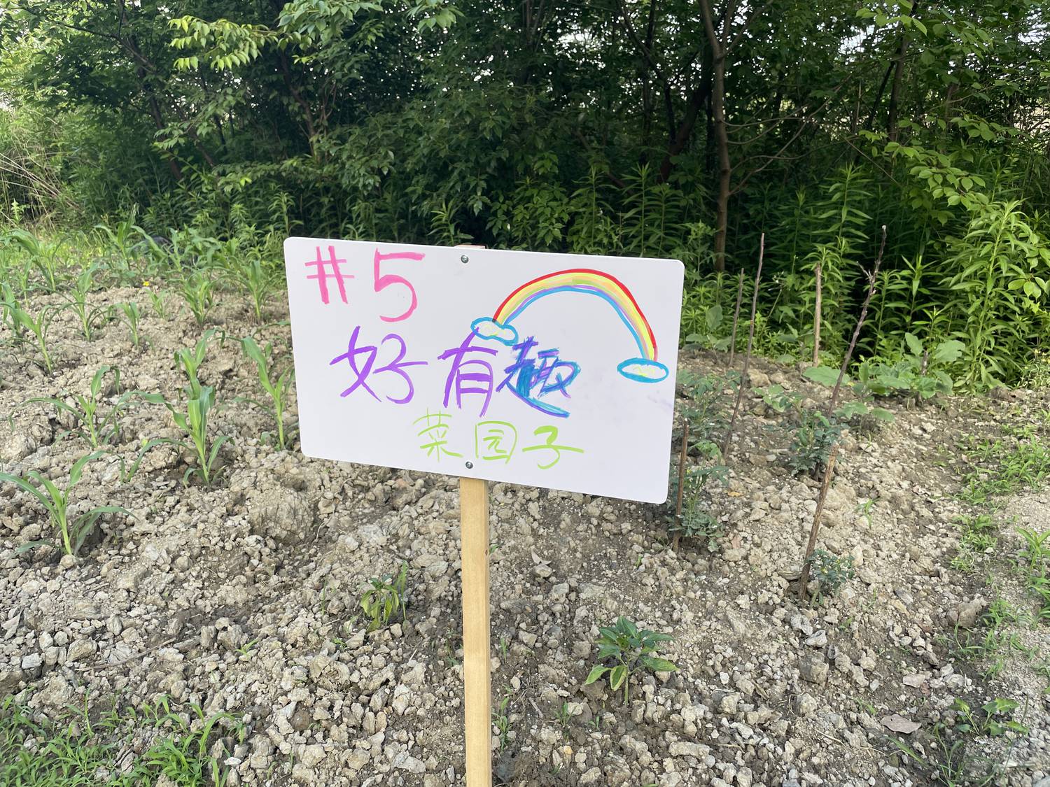A_田间地头艺术节.jpg