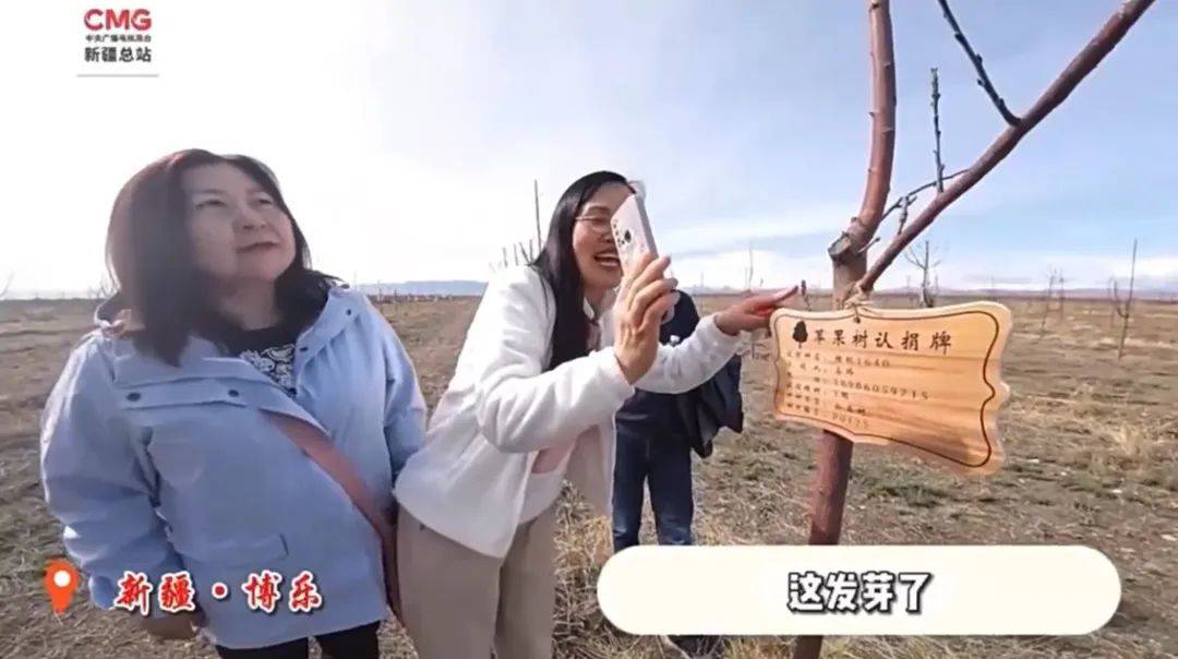 图片 5.png 图片 5.png