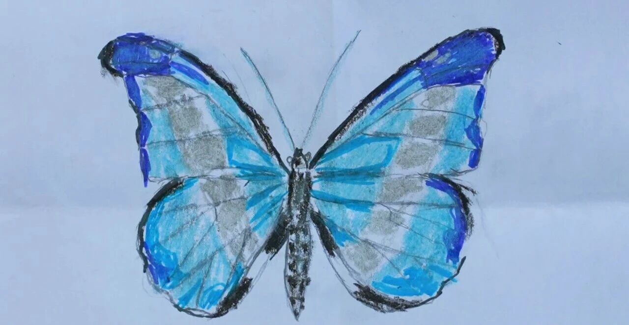 bd1c35c89fb95a61f0e4e26dcaf216e2.jpg