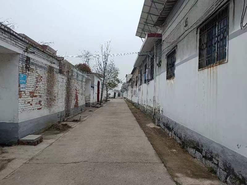 5.jpg 5.jpg