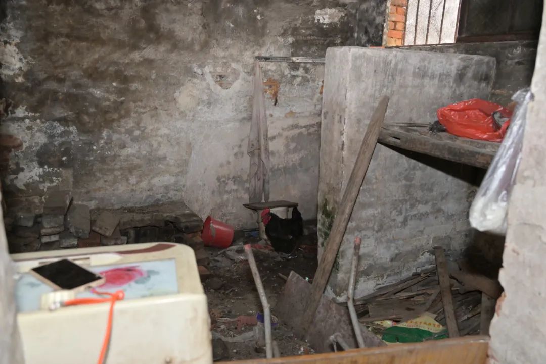 09.jpg