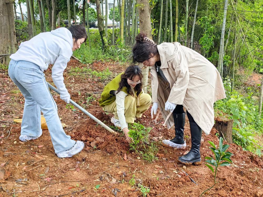 植树1.jpg 植树1.jpg