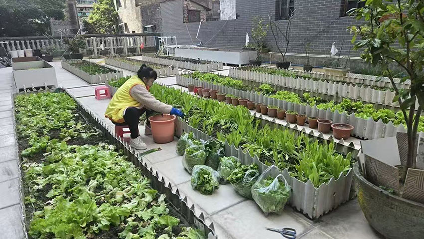 荔湾区22.jpg
