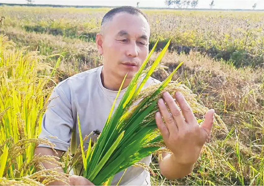 8吉.jpg 8吉.jpg