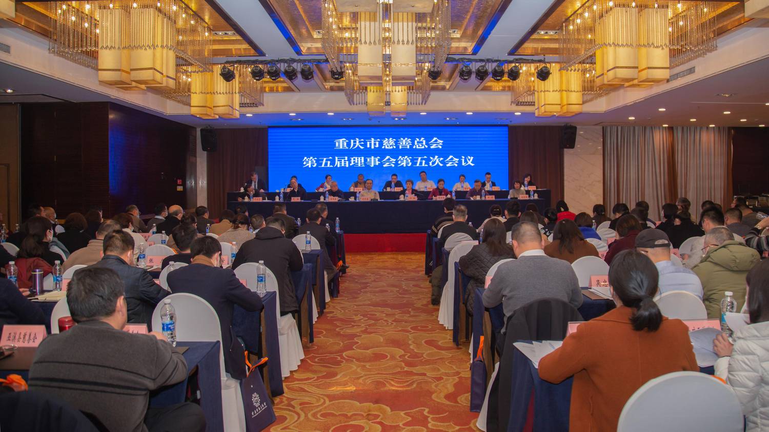 _MG_2224.jpg _MG_2224.jpg