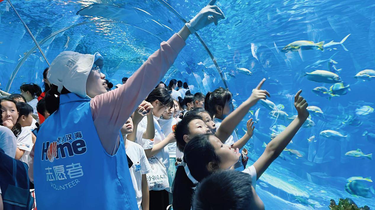 图片24.png