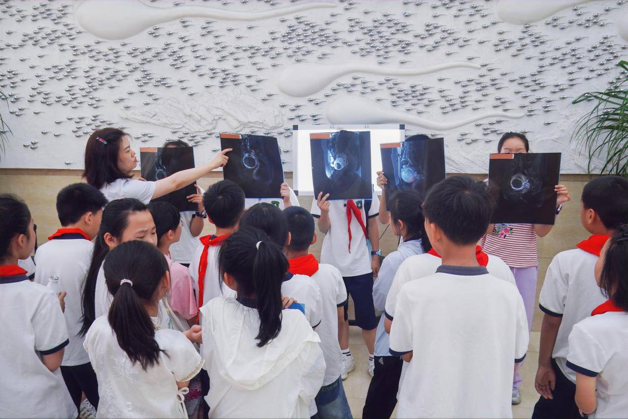 图片13.png 图片13.png