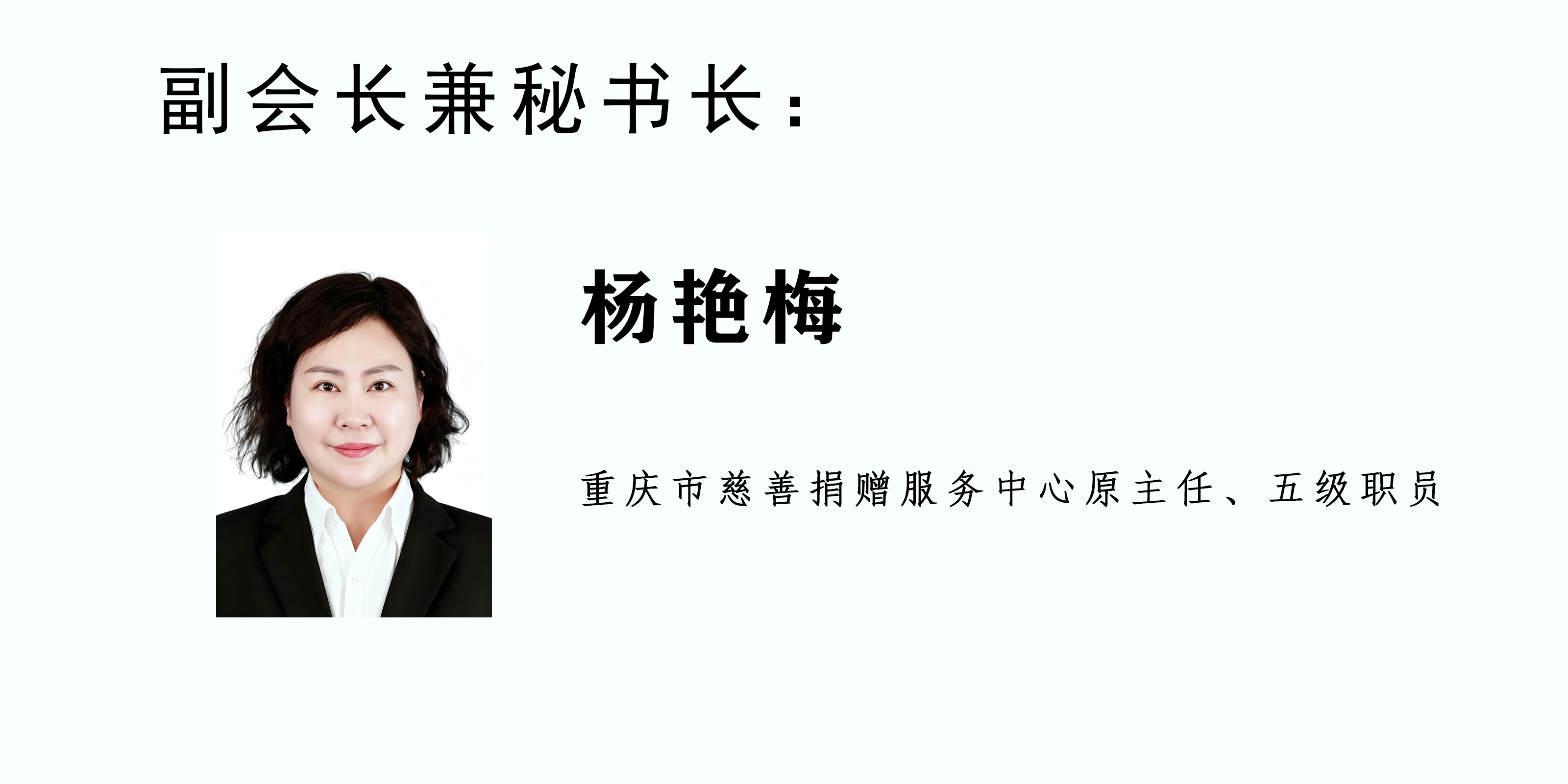 杨杨1展示.jpg