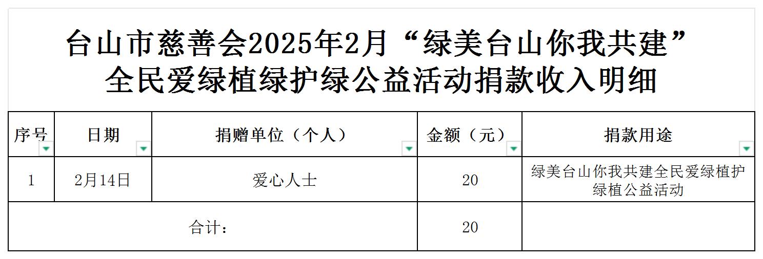 （公示）台山市慈善会2025年2月绿美台山捐款收入明细公示_收入明细公示.jpg