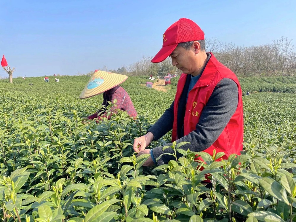 微信图片_2025-10-11_104808_866.jpg 微信图片_2025-10-11_104808_866.jpg