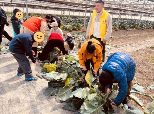 6c136e64b1aad01da7d33a8086a78211.png 6c136e64b1aad01da7d33a8086a78211.png