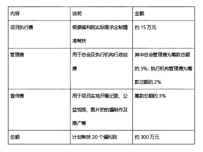 慈爱孤儿预算.png