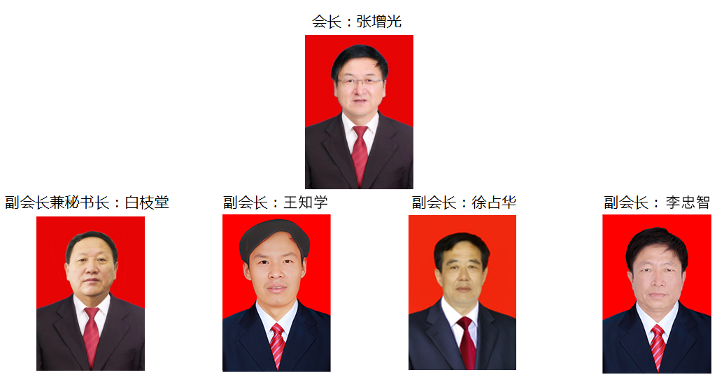 慈善协会领导成员新.jpg