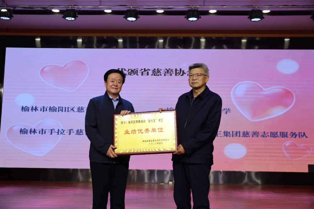 3.榆林市慈善协会会长刘洪向榆阳区慈善协会代颁全省“爱为宝”项目业绩优秀单位奖.JPG