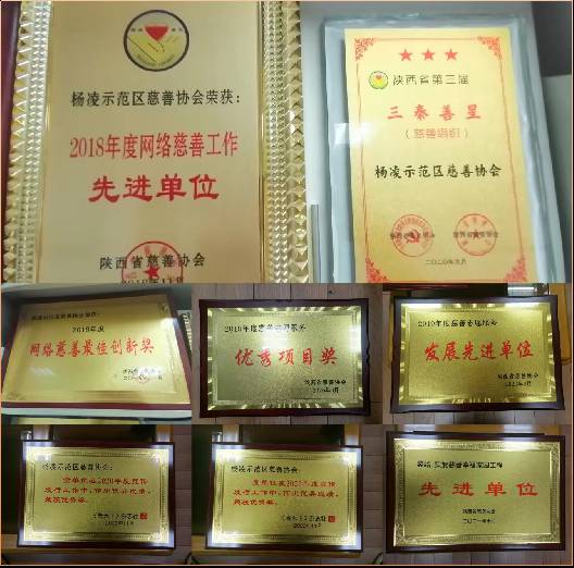 图片28.png