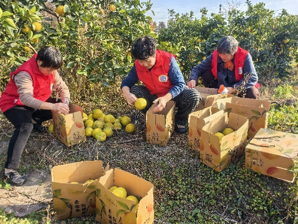 bf75de9853aece0aae5c8bf013826203_副本.jpg bf75de9853aece0aae5c8bf013826203_副本.jpg