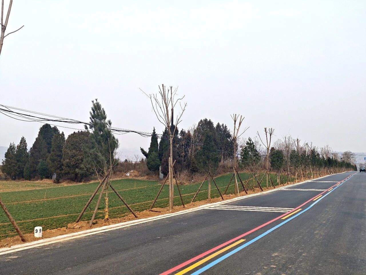 微信图片_20260213173401_1542_202.jpg 微信图片_20260213173401_1542_202.jpg