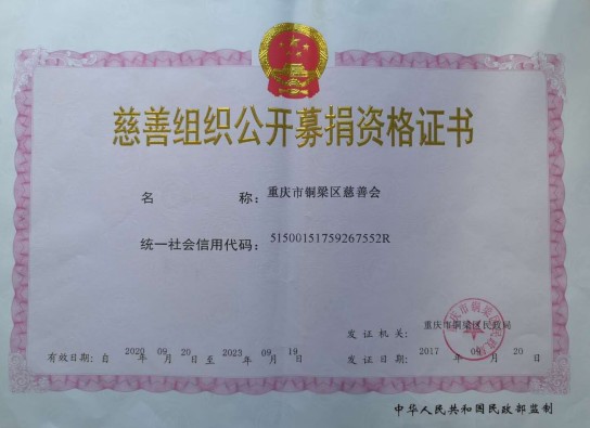 公开募捐资格证书（正本）2020_conew2.jpg