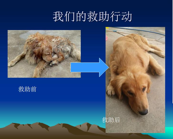 图三.jpg